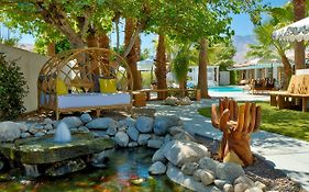 Dive Palm Springs Hotel - 21 & Over
